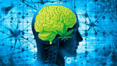 How Does Cbd Affect Your Brain