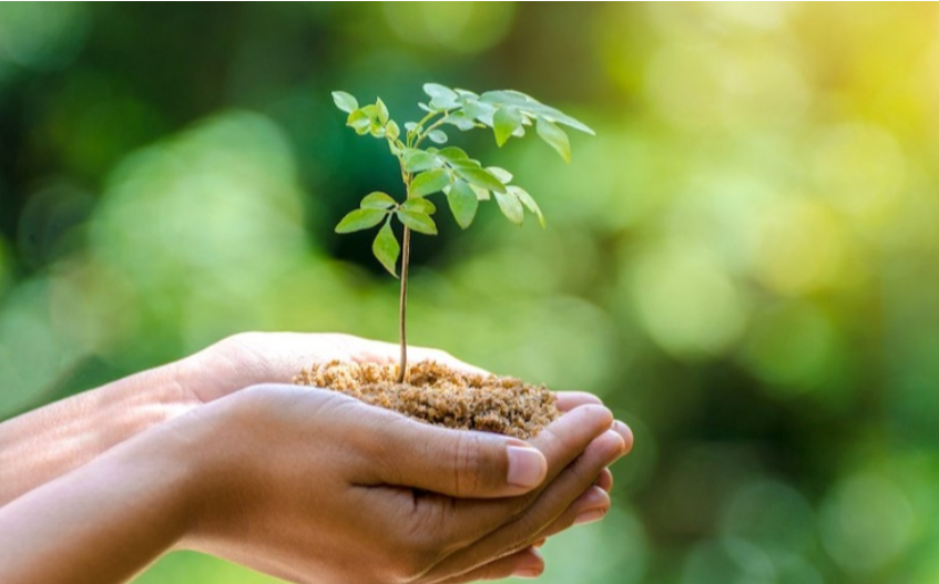 Creating a More Centered Life Through Simple Practices and Natural Enhancers