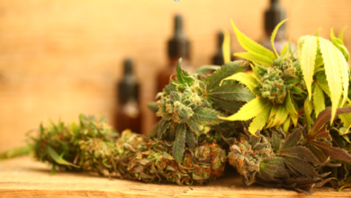 10 Medical Marijuana Myths Debunked by Science