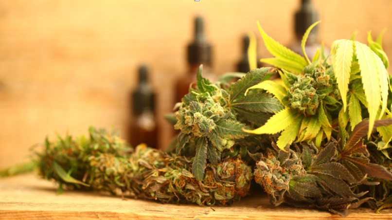 10 Medical Marijuana Myths Debunked by Science