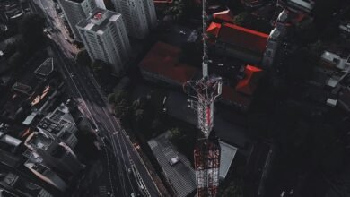 business development insights analysis