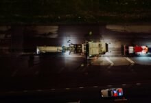 business development numeric codes