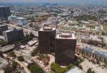 business expansion opportunities identified