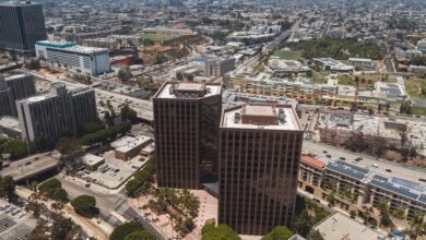 business expansion opportunities identified